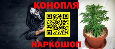 соль ск Ипатово