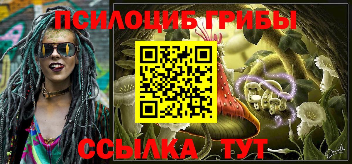Псилоцибиновые грибы Magic Shrooms Минусинск